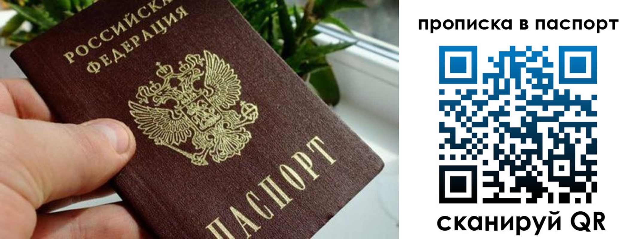 пропишу в квартире в Первомайске